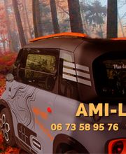 Ami Loc Elec image 1