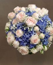 Bernaflor Blumengeschäft - 3185 Schmitten Bild 18