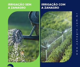 Zanagro Agrocomercial imagen 11