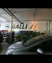 Gallery Cliente
