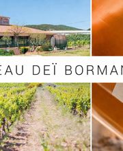 Caveau Deï Bormani image 5