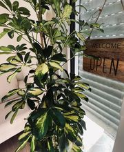 Louvet Laetitia image 6