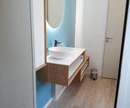 Homnibat image 3