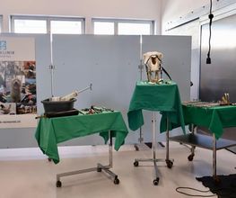 Tierklinik Leimental Bild 2