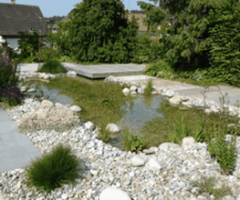 David Gartenbau AG Bild 3