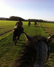 Cheval Nature image 5