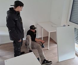 Die Umzugslöwen De Moll Bild 8