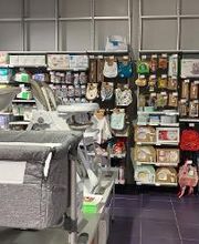 Orchestra SAINT QUAY PERROS - Lannion image 10