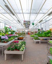 Blumen Brügger Bild 8