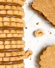 Marc Verdant image 13