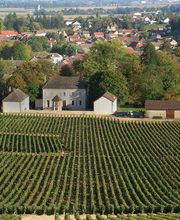 Domaine Des Chauchoux image 8