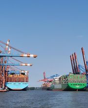 Favry-Hubert Armelle image 1