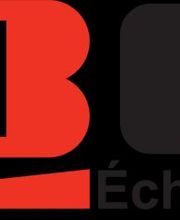 JBC Echafaudages image 1