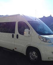 dimarbus06.jpg
