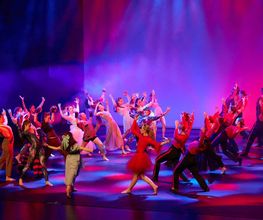Verein TDC dance company & school Bild 8