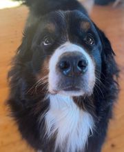 Baker Street image 1