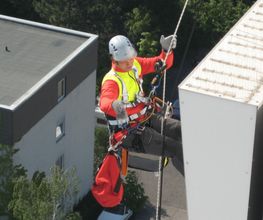 A.R.C.Tec Baumgutachten, Baumpflege Bild 3