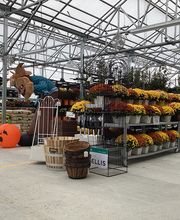 Tractor Supply Co. image 1