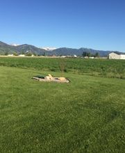 Star Hydroseeding image 3