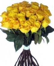 De fleur en fleur image 5