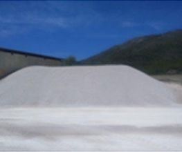 arena-04.jpg
