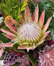 Garten & Floristik Prifling Bild 13