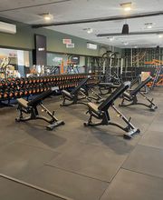 Mancuerneros y bancos de la zona de peso libre