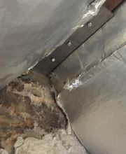 Agence Antiparasitaire Du Bois Pontivy image 11