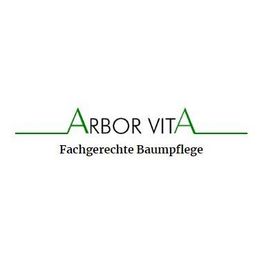 ARBOR VITA Baumpflege