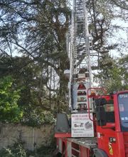 STV Ramonage image 5