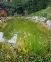 Baggerbetrieb Hasenfratz AG Bild 3