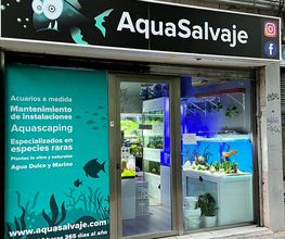 Aquasalvaje imagen 6