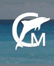 Mohr Christine image 2