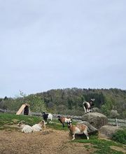 Kräuterhof Ringelai Bild 1