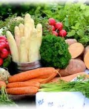 Papillote et Compagnie image 2