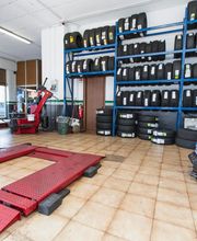 Euromaster Locatelli Gomme immagine 10