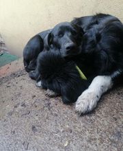 Martin Hofmann Bild 7