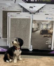 Carpet Weaver's Flooring Gallery image 3