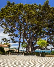 Occidental Cádiz imagen 9