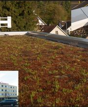 Lütolf Dach und Wand AG - Ihr Dachdecker in der Region Freiamt, im Aargau und Zürich. Bild 3