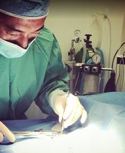 Irvine Valley Veterinary Hospital Emergency image 20