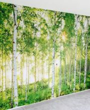 Maler Lipp AG Bild 3