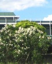 Die Kerschensteinerschule bietet ein breites Angebot von über 30 Berufsausbildungen in verschiedenen Fachrichtungen, inklusive Vollzeit-, Teilzeit- und Blockunterricht. Die Schule beherbergt zudem ein Technisches Gymnasium mit Fokus auf Angewandte Naturwissenschaften, das Schülerinnen und Schülern in drei Jahren auf das Abitur vorbereitet. Absolventen haben die Chance, Zusatzprüfungen in Chemisch-Technischer Assistenz, Physikalisch-Technischer Assistenz oder Pharmazeutisch-Technischer Assistenz abzulegen.
Die Kerschensteinerschule zeichnet sich durch motivierte Lehrer mit umfangreicher Berufserfahrung aus und legt großen Wert auf Qualität durch pädagogische Teams im Lernfeldunterricht. Zudem sind die Einrichtungen der Schule, einschließlich Werkstätten, Labors und PC-Räume, auf dem neuesten Stand der Technik.