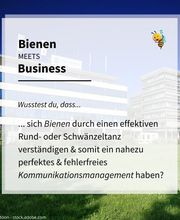 Test 1 - ÖTB Booster 1 mit OVP Business Durchbuchung 1106 Bild 3