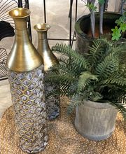 Orangerie Bernapark Bild 5