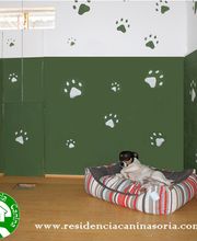 RESIDENCIA CANINA SORIA imagen 6