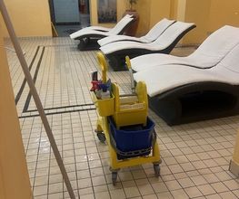 IMG_1137.jpeg