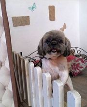 L Atelier D Oscar image 1