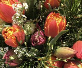 petite fleur gmbh Bild 11