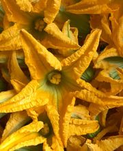 MES FRESC QUE MAI S.L. imagen 4